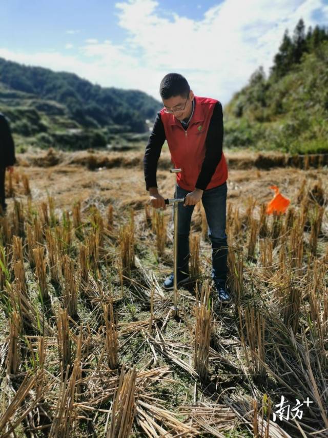 技術(shù)人員深入田間地頭開展土壤取樣、分析。通訊員供圖