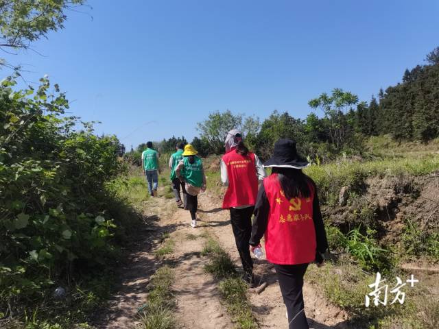 豐陽鎮(zhèn)的440余名黨群志愿者堅守先鋒崗，守護豐陽的綠水青山。