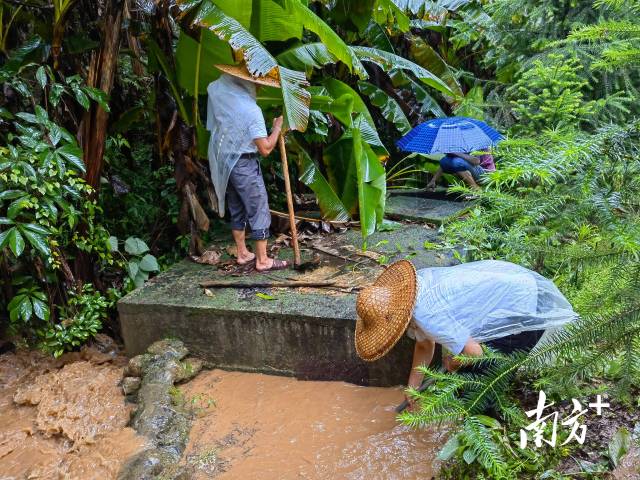 為保障陂嶺近三分之二村民用水，陂嶺村新老干部冒雨前往水源點(diǎn)解決集中供水問題。