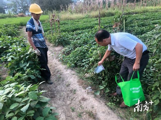噴灑施藥。