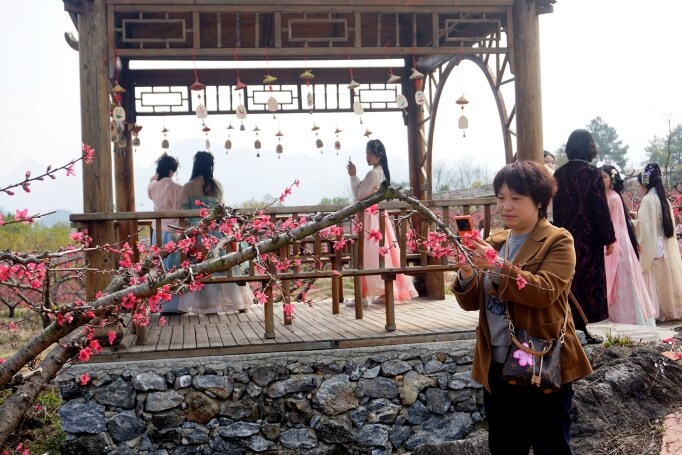 桃花節(jié)在九陂鎮(zhèn)開幕，迎來八方游客。清遠(yuǎn)日報記者 周璐攝。